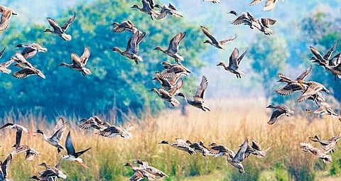 Image used for representational purpose only.