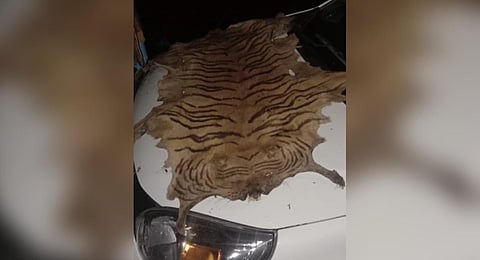 Bengal tiger skin seized by Delhi Police