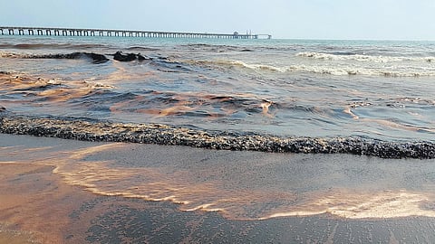 A view of the oil spread in the sea off the Pattinacherry coast in Nagapattinam district on Friday.