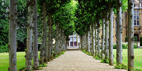 Image used for representational uses only. (Photo | Pexels)