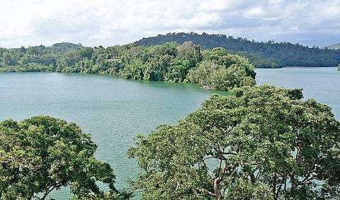 The former Lion Safari Park at Neyyar Dam.(File pic)