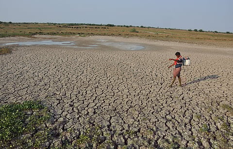 A file photo of a dried up Lake due to rising temperatures in Andhra's West Godavari district used for representative purposes only. (Photo | P Ravindra Babu, EPS)