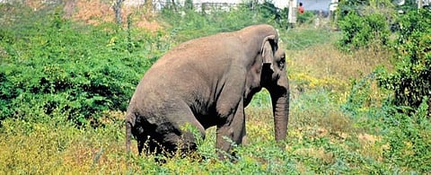 Image used for representational purpose only.