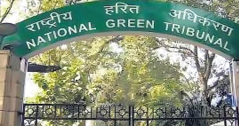 Probe sought into ‘gross irregularities’ in appointment of NGT employees