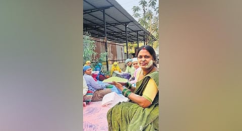 Organic Holi: Chhattisgarh women prepare gulal with flowers, turmeric & spinach