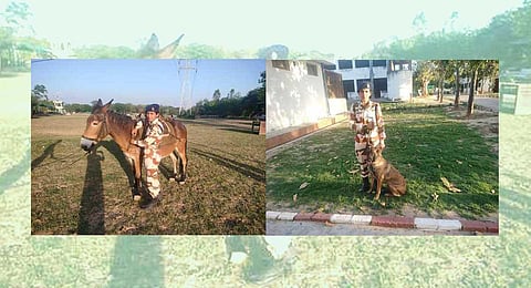 ITBP women become captains of their ponies & dogs