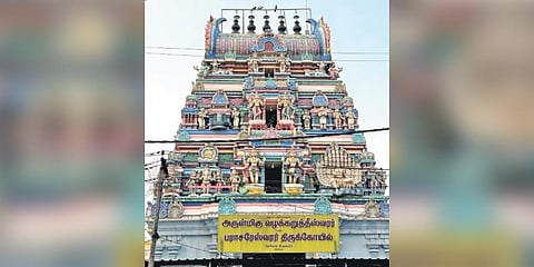 The God who settles legal disputes