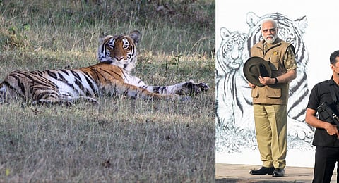 Prime Minister Narendra Modi seen before taking the safari at Bandiput Tiger Reserve during commemoration of 50 years of tiger project. (Photo | Udayashankar S, EPS)