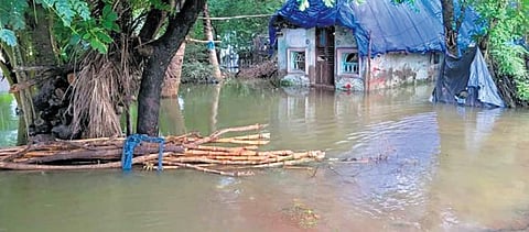 Houses in Nadhalpadugai village partially submerged in floodwater after a surge in Kollidam River, in October, 2022 | Express
