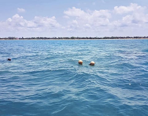 Plastic buoy balls attached to nets floating on water as the impounded of Selvamani sinks under water, near Mullaitivu in Sri Lanka | Express