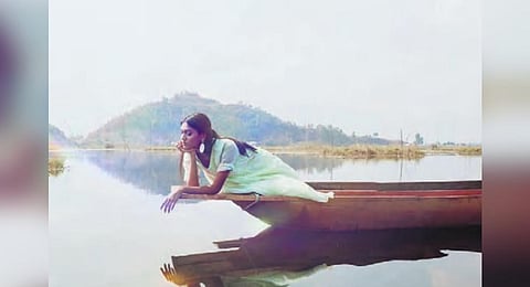 From the Wonderland collection.