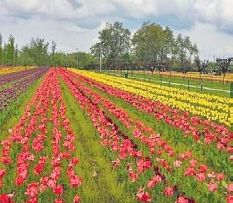 Image used for representative purposes only.