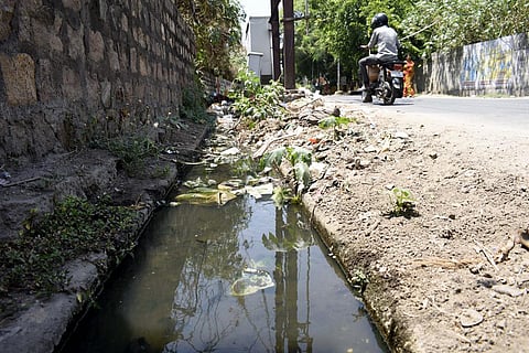 Residents request Coimbatore Corporation to take action against those dumping waste on roads