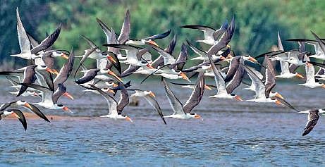 Image used for representational purposes only. | Express