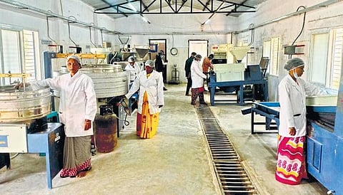 Tribal women groups in Eturunagaram of Mulugu district are setting an inspiring example by leading the way in the millet food business.