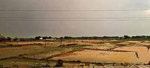 A waterlogged crop field in Kendrapara district | Express