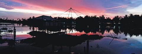 Soul therapy with a swig of fresh toddy