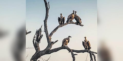 For representational photo