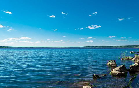 Representational image. (Photo | Pexels)