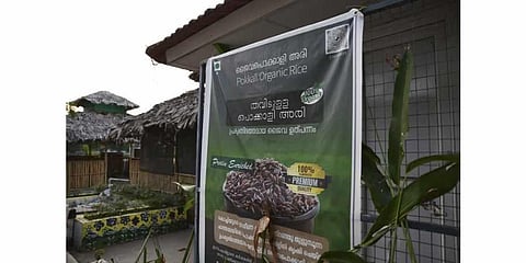 A roadside poster put up by Joseph PV and his son Tom promote the sale of their Pokkali rice crop in Chathamma, Kochi. (Photo | AP)