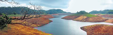 A view of Idukki reservoir from Kulamavu side. (Photo | Express)