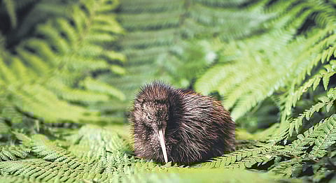 FILE: Image used for representational purpose only.