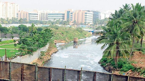 Varthur lake.