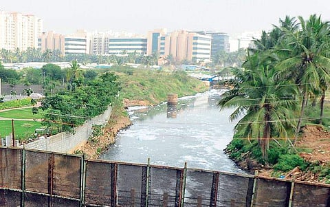 Varthur lake.(File Photo)