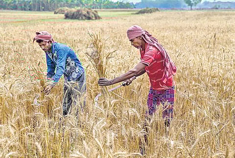 Image used for representative purposes only. (File Photo)