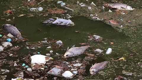 Image used for representational purpose only. (File Photo)