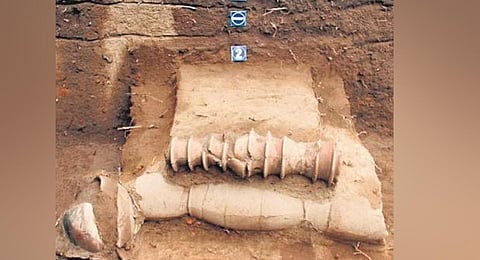 State archaeological department will undertake excavations in eight places this year .