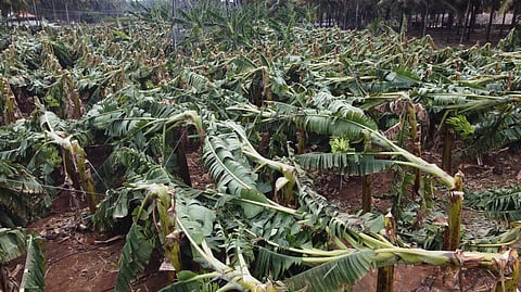 Image used for representational purposes