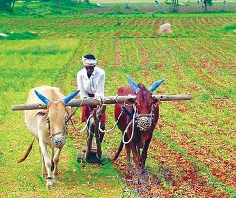 Five years of Telangana government’s prestigious scheme Rythu Bandhu