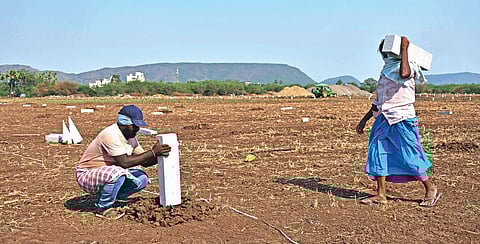 Workers setting up boundary stones in house plots meant for poor at Krishnayyapalem in Amaravati on Monday. (Photo | Prasant Madugula)