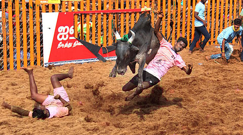 Image used for representative purposes only. (File Photo | K K Sundar, EPS)