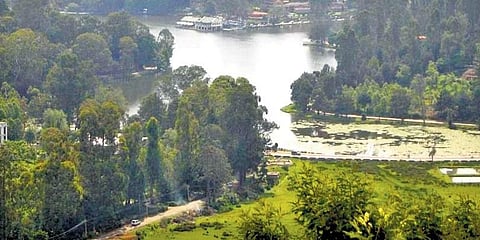 Following the Toxic Trail