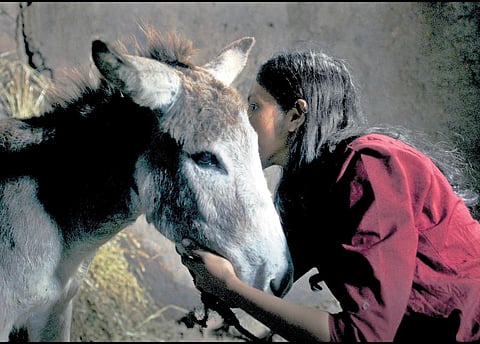 A still from Nehemich; (below) Yudhajit Basu