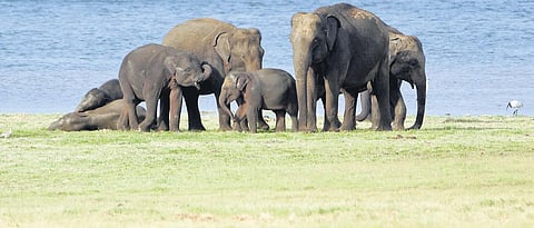 Image used for representational purpose only. (File Photo)