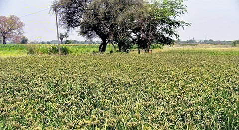 Image used for representational purposes only