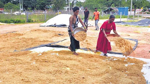Farmers in Jangaon district dry soaked paddy