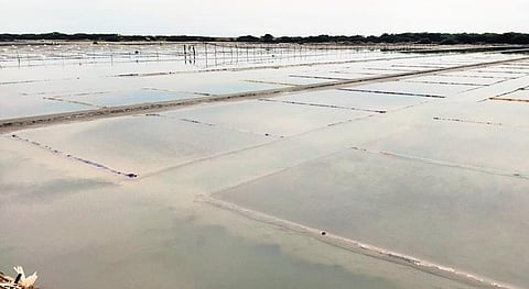 Salterns in Vedaranyam block flooded with rainwater | Express