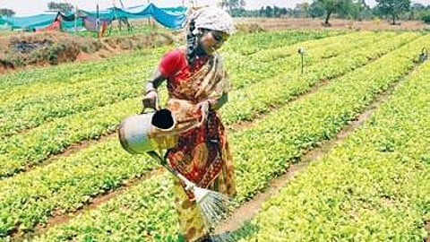 Image used for representational purposes only