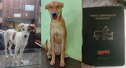 Jaya and Moti; ‘passport’ issued to them | EXPRESS