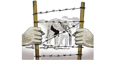 Image used for reperesentation.