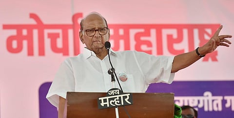 FILE - NCP chief and former Union Minister Sharad Pawar. (Photo | PTI)