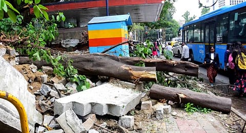 A compound wall of Bangalore University damaged due to heavy rain in Bengaluru on Monday. (Photo | PTI)