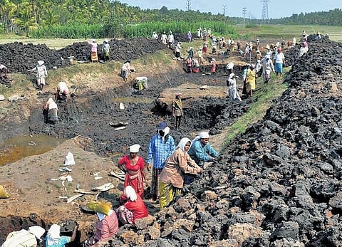 West Bengal has about 1.4 crore active job cardholders. (Photo | PTI)