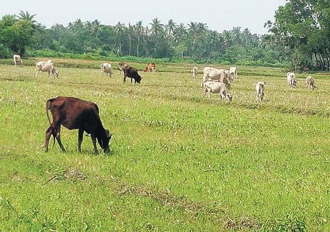 Image used for representational purpose only.