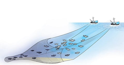 express illustrationImage used for representational purpose only. (Express Illustrations)