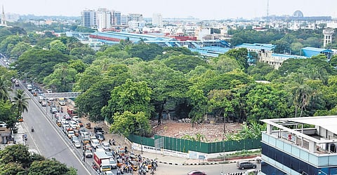 Approximately 300 to 400 trees present in area marked for Egmore redevelopment could face the axe | Ashwin Prasath